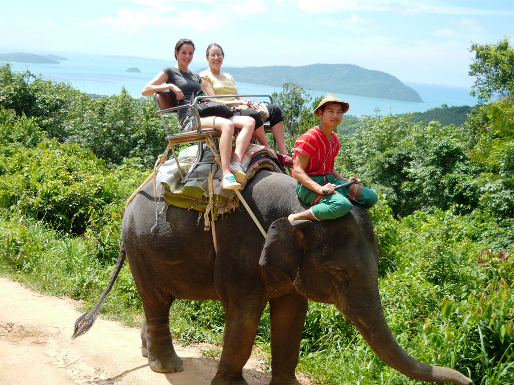 Phuket Elephant Trekking Tours