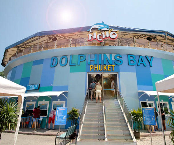 Phuket Dolphin Show