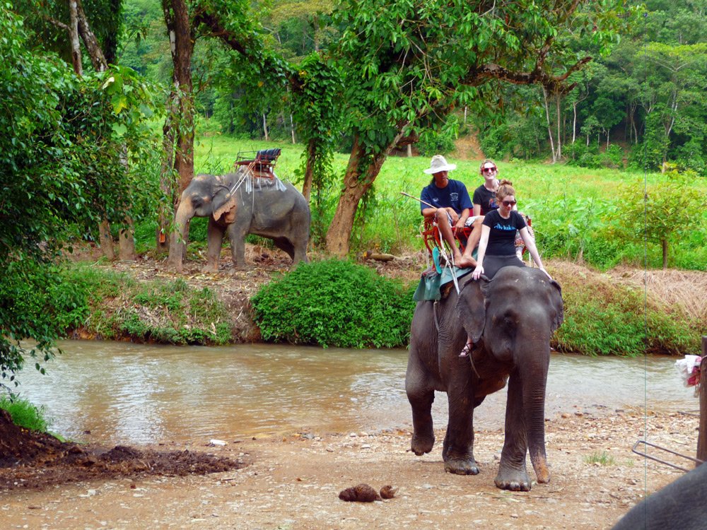 Phuket Elephant Trekking Tours