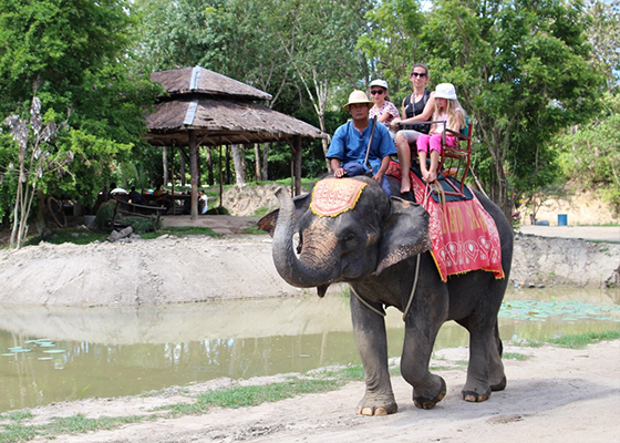 Phuket Elephant Trekking Tours