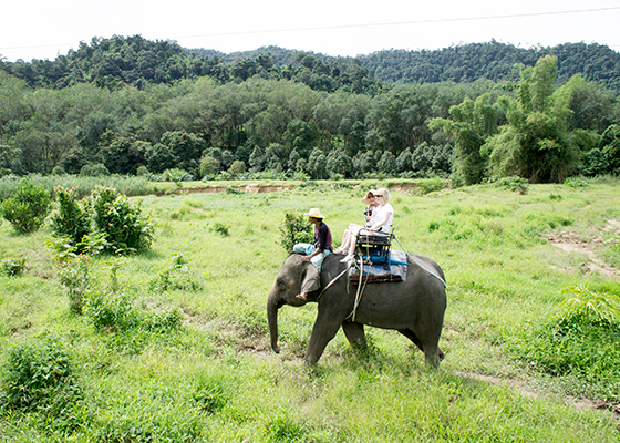 Private Khao Lak Jungle Tour