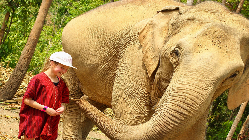 Elephant  Jungle Sanctuary Tour