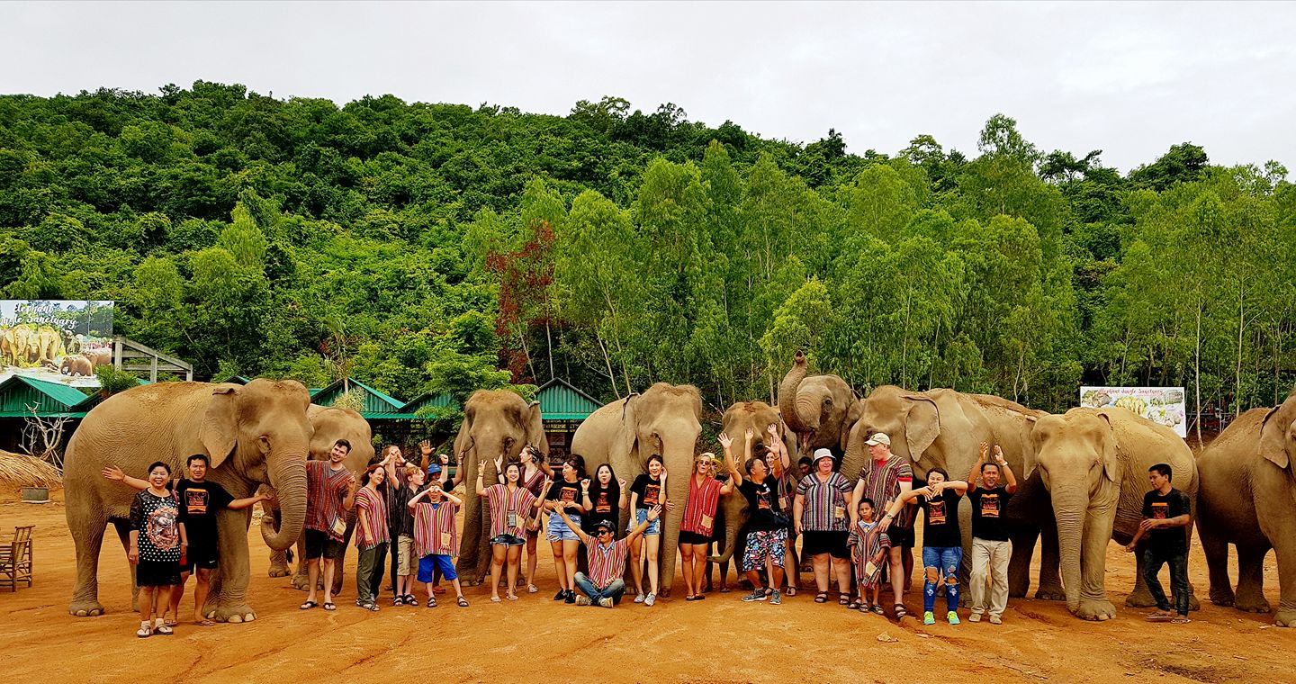 Elephant Jungle Sanctuary Park