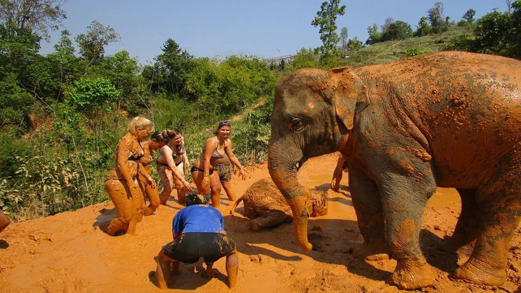 Elephant Jungle Sanctuary Park