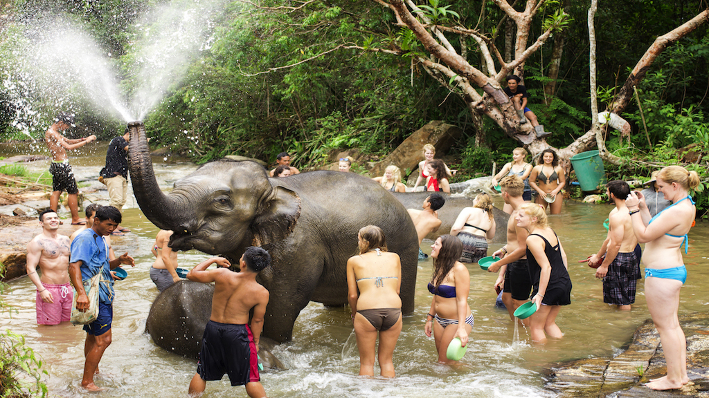 Elephant Jungle Sanctuary Park