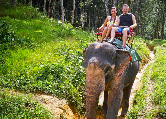 Khao Lak Jungle Safari Tour