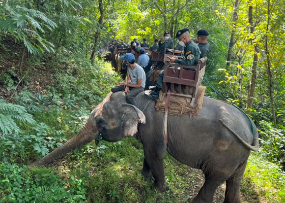 Khao Lak Jungle Safari Tour