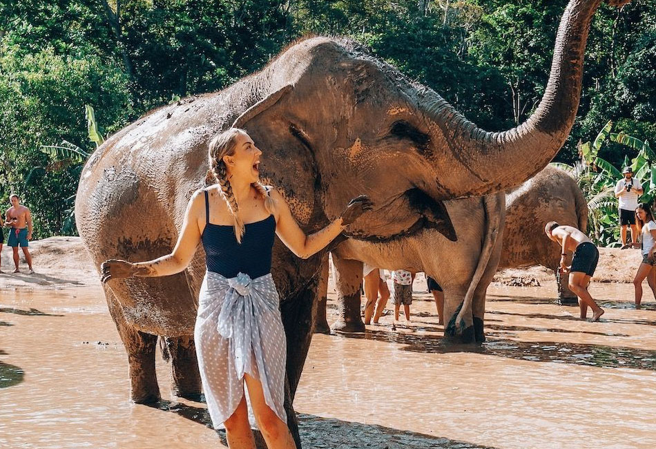 Phuket Elephant sanctuary Tour