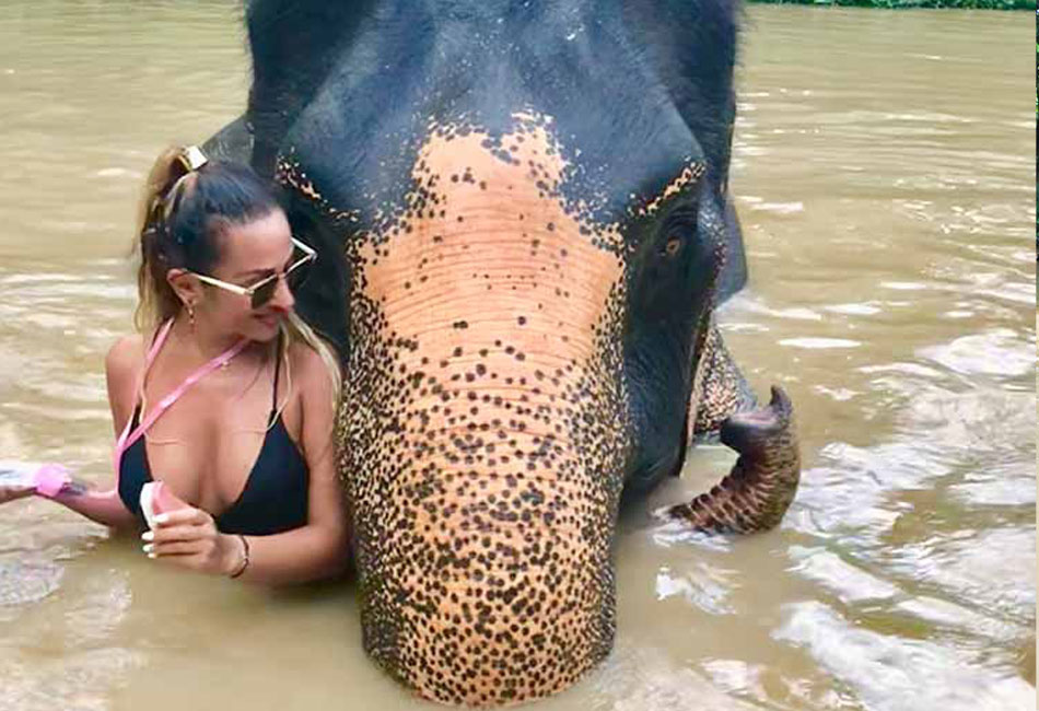 Phuket Elephant sanctuary Tour