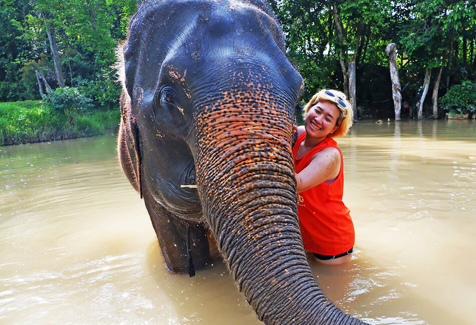 Elephant Wildlife Sanctuary