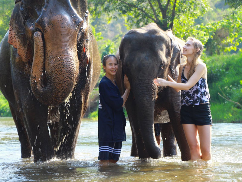 Elephant Wildlife Sanctuary