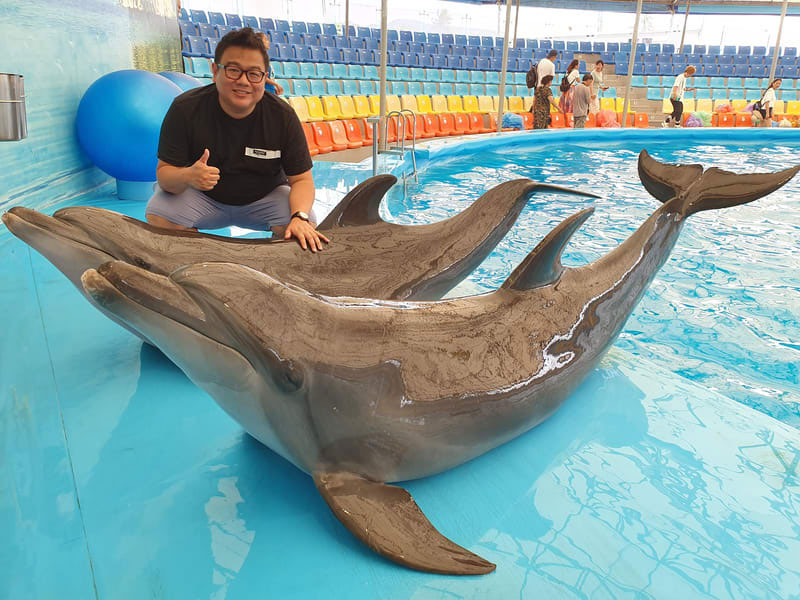 Phuket Dolphin Show