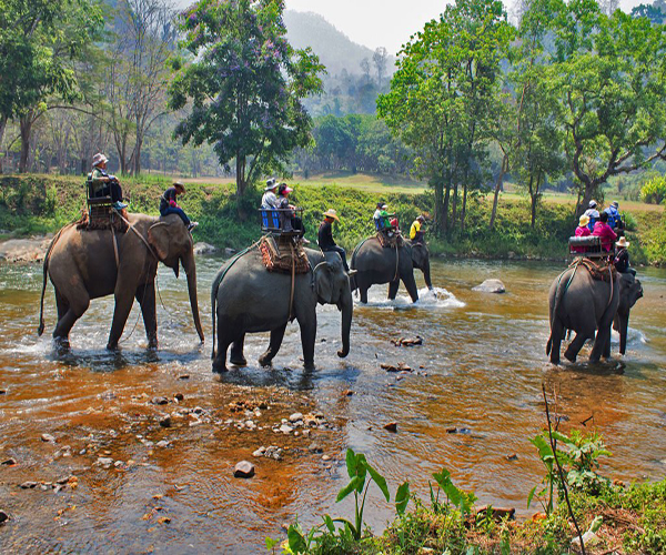 Private Khao Sok Safari Tour