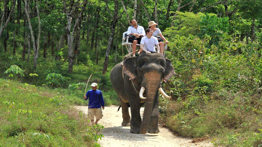 Private Khao Lak Tour