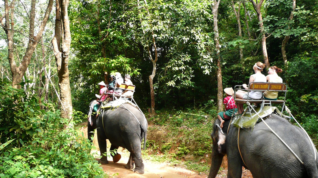 Private Khao Sok Safari Tour