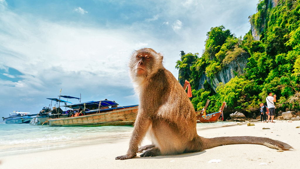 Private Speed Boat to Phi Phi and Phang Nga Bay