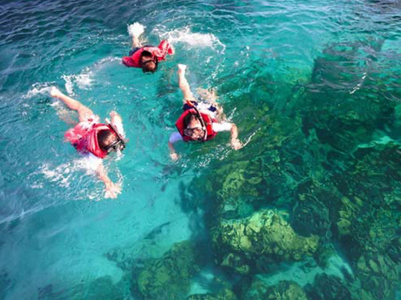 Private Catamaran to Coral  Island