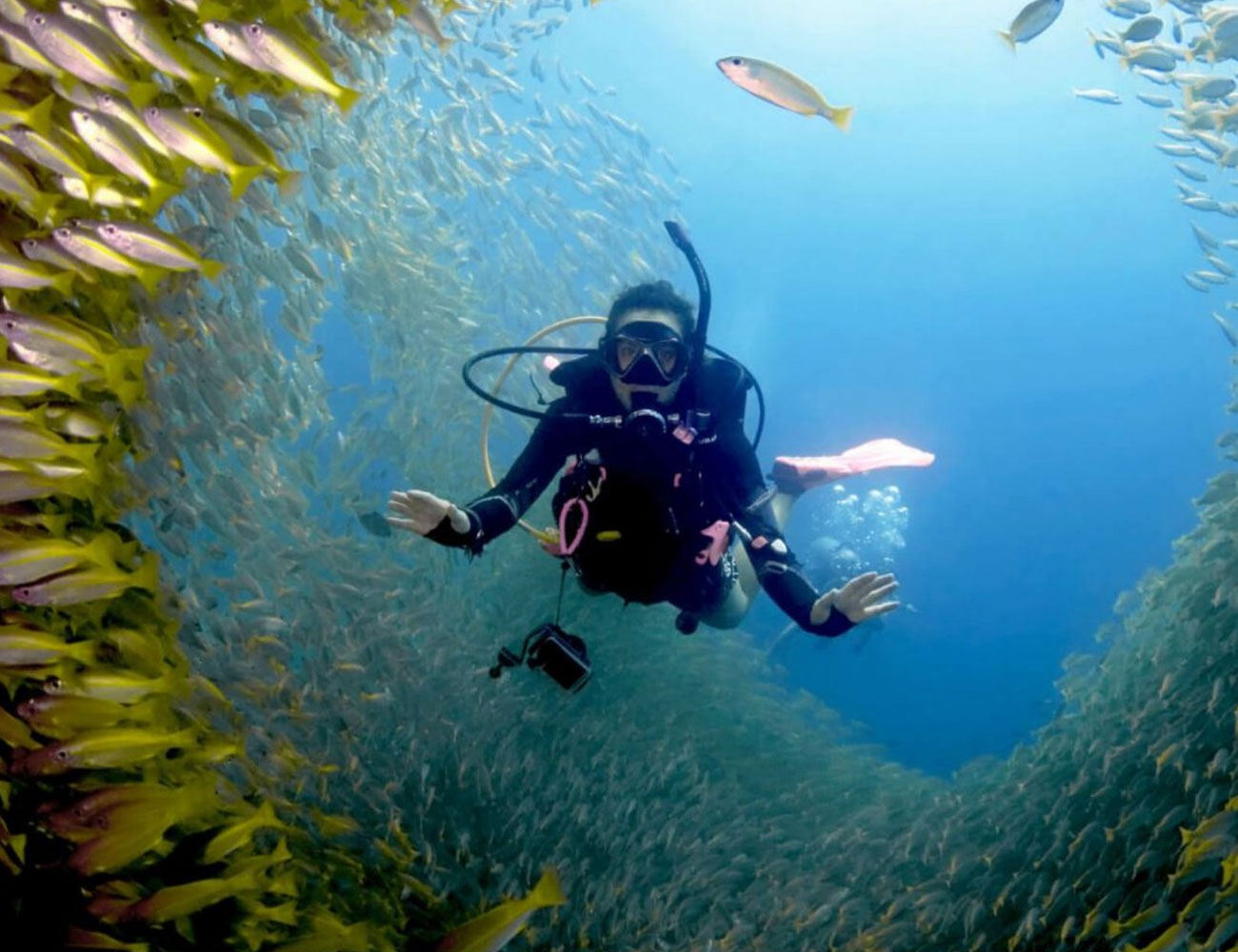 Private Charter to Phi Phi & Bamboo Island
